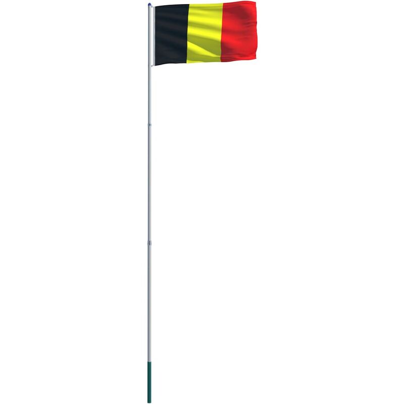 

vidaXL Bandera de Bélgica y Mástil de Aluminio 6 m