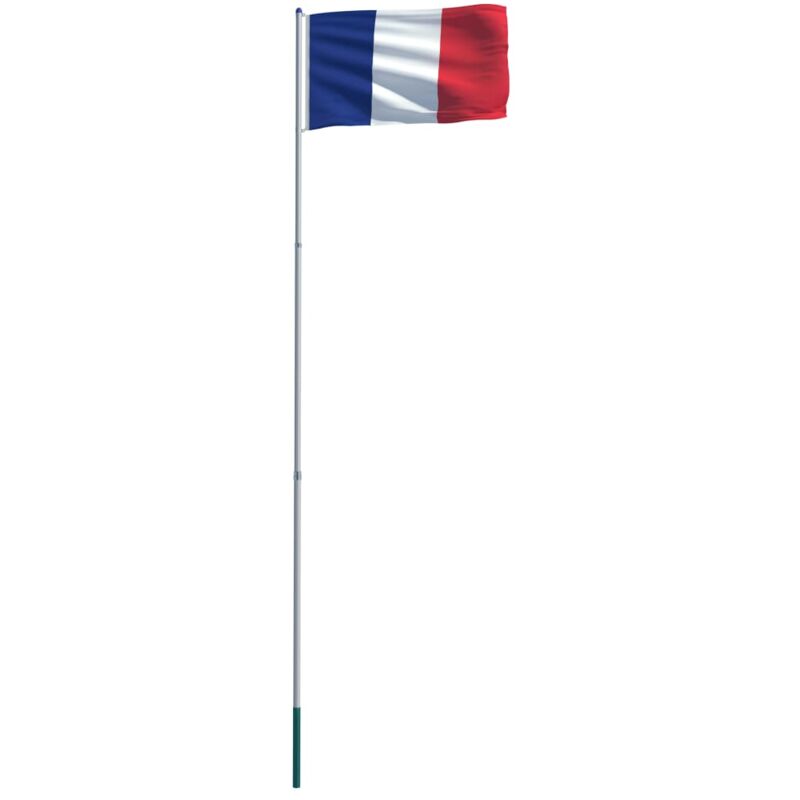

vidaXL Bandera de Francia y Mástil de Aluminio 6 m