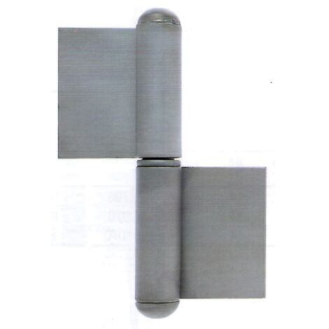 Bandes a' souder pour fenetres 20 pcs acier poli avec rondelle droite charnie'res charnie'res 80 mm