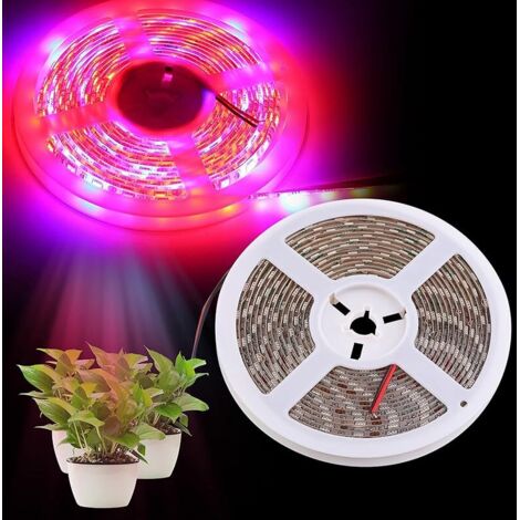 Bandes lumineuses LED pour culture de plantes, barre de lampes de culture solaire à spectre complet, adhésif étanche 12 V 16,4 m pour plantes d'intérieur, semis, plantes grasses, hydroponique
