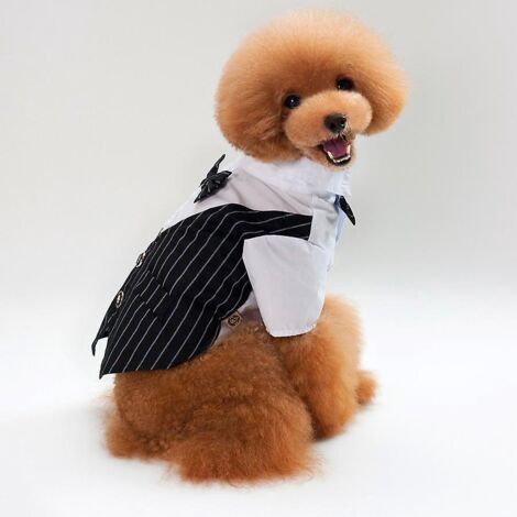 (bandes Noires, M) Costume De Smoking Pour Chien De Petite Et Moyenne Taille, Chemise Avec Nud Papillon Noir Amovible Pour Chien Costume Formel Po