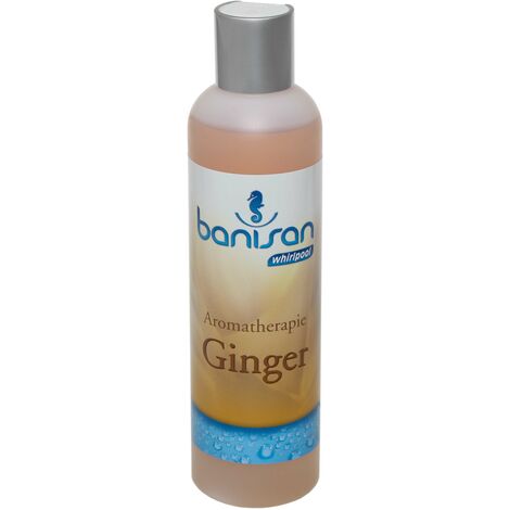 Banisan GINGER Badezusatz Whirlpool Aromatherapie 250 ml