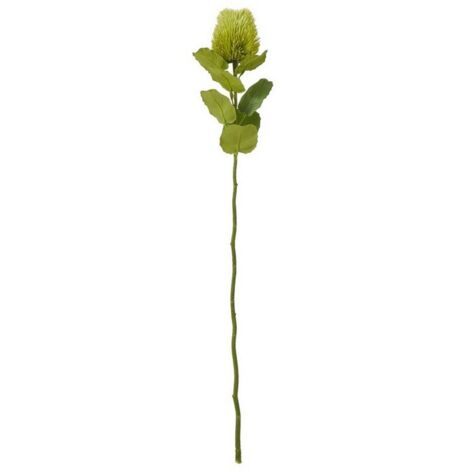 Banksia (Single Stem Flower) - Plastic - Height 59 cm - Green