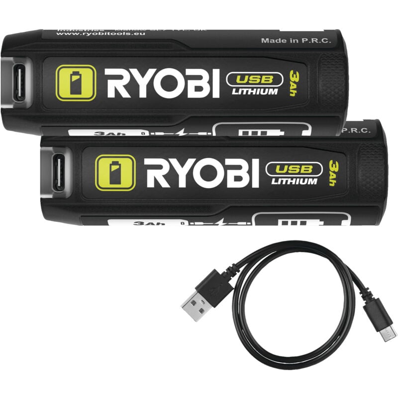 Ryobi - Banque d'alimentation RB4L30X2 3,0 Ah usb-c Lithium™