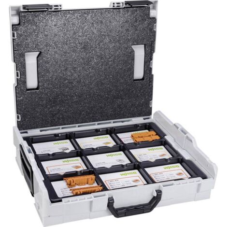 Banyo – Kit borne de connexion Wago – 2 x 0,5-2,5 mm² – Connexion sécurisée pour câbles – Tension 400V – Intensité 16A – Pack de 100 pièces - WAGO 887-917