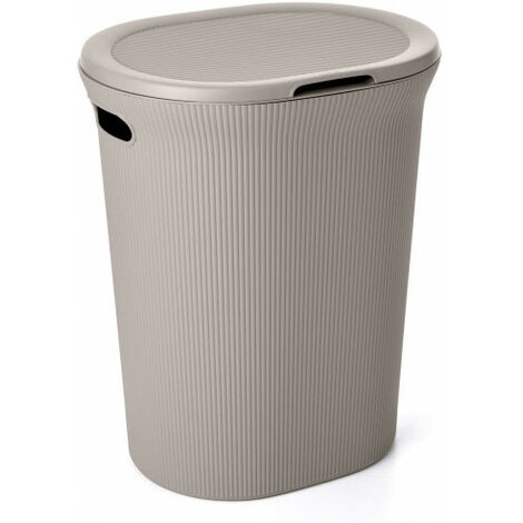 Baobab taupe tatay pontodo