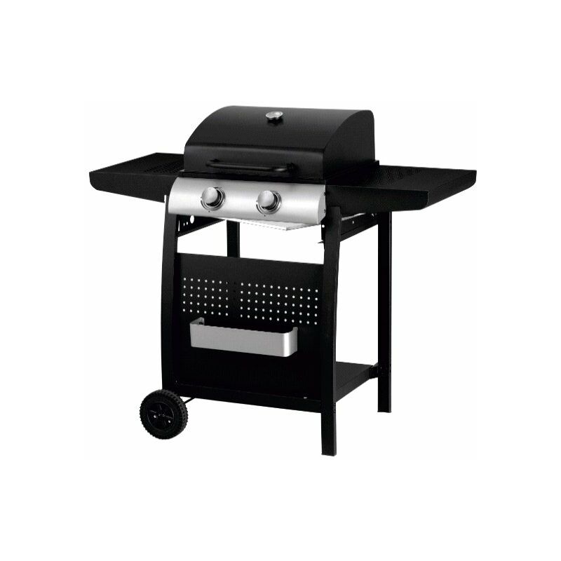 

Barbacoa de gas con 2 quemadores