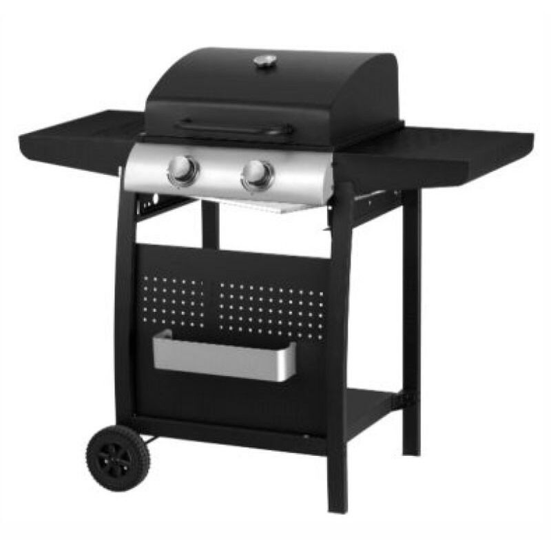 

Barbacoa a gas 2 Quemadores Ligera | Fabricado en acero. Termometro integrado | Asador de carne