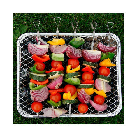Barbacoa desechable 31x24x4cm Bbq Collection