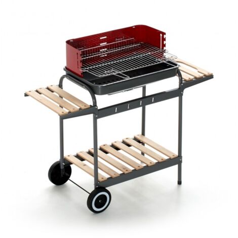 Griglia barbecue 80x40 al miglior prezzo - Pagina 4