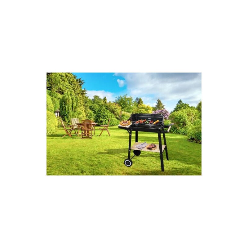 Proline - Barbecue à charbon charcb Noir