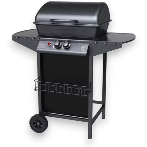 Barbecue a gas 2 fuochi con pietra lavica per esterno