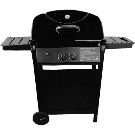 Barbecue a Gas 6.0 kW con 2 Bruciatori in Acciaio Inossidabile Coperchio Smaltato e Termometro Superficie Cottura 50x35 cm griglia da giardino terrazzo