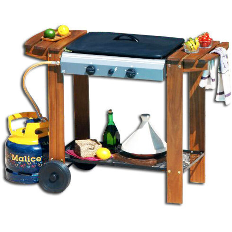 Fplus - Barbecue à gaz Bambu Montréal 54x38 avec roulettes 315843