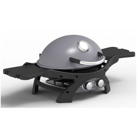 Barbecue à Gaz portable 5200W Grille de cuisson fonte émaillée 58 x 42.5 cm 2 Bruleurs PIT BOSS