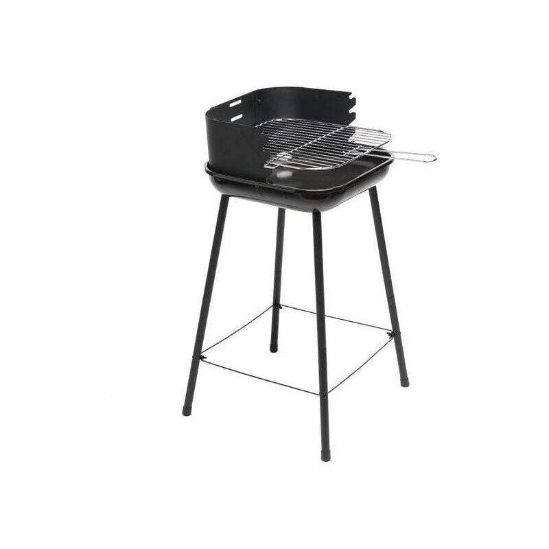 Barbecue charbon de bois