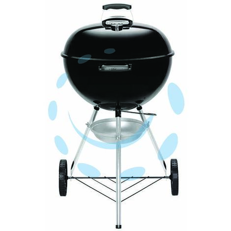 Griglia weber 47