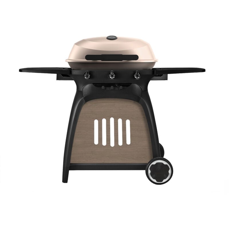 Barbecue au gaz Ryde champagne Hamson