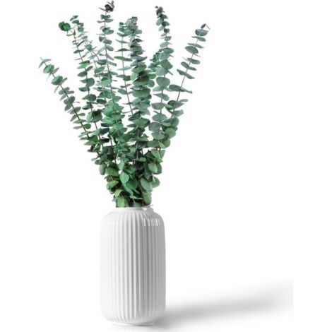 Bardusch-12 Pièces 45cm Eucalyptus Seches Naturel d'Eucalyptus Fleurs Séchées pour Mariage Arrangement Floral Home Deco