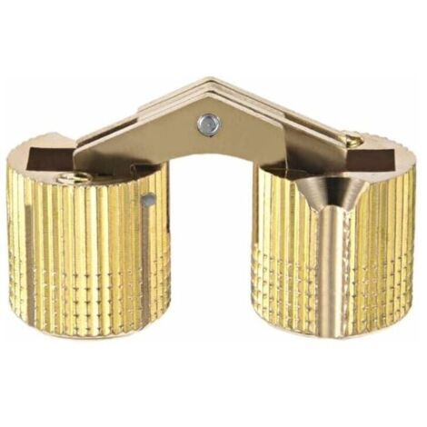 Bardusch-4pcs Charnière Cylindrique Charnière Invisible Porte Placard Armoire Meuble 16mm 180° Angle ouverture