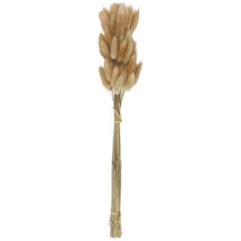 Bardusch-50 Pièces Bouquet de Fleurs Séchées Naturelles Couleurs Crues pour Décoration Mariage Herbe Queue de Lapin