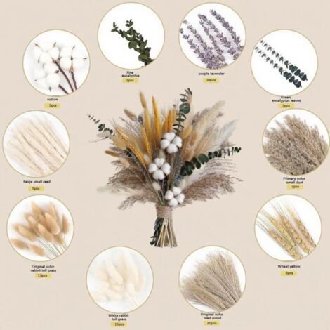 Bardusch-80pièces fleurs séchées 33-43 cm avec herbe pampa, bouquet mélange DIY pour décoration bohème