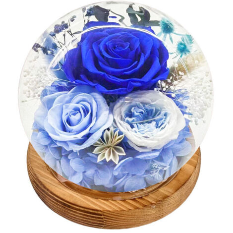 Bardusch-Composition florale éternelle sous globe LED, roses stabilisées, présentoir élégant pour occasions spéciales