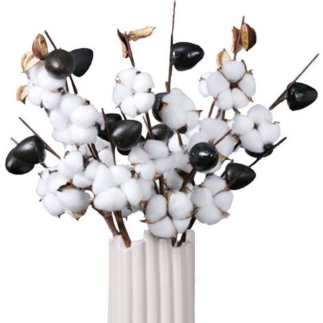 Bardusch-Fleurs Coton Séchées 3pcs, Branche Coton 5 Têtes, Bouquet Naturel, Tige Décorative pour Vase, Mariage