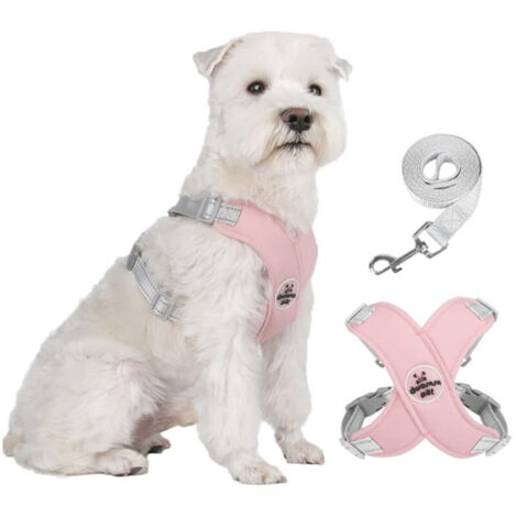 Bardusch-Harnais pour chien Pet X Frame anti-traction avec laisse, réglable, réfléchissant, anti-étranglement, pour chiot avec gilet rembourré (rose)