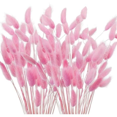Bardusch-Lot de 120 petites fleurs séchées - 40 cm - Herbe de la pampa rose séchée - Pour arrangements floraux, mariage, maison, fête