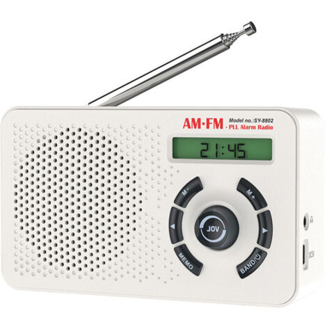 Bardusch - Radio /+ Portable Numérique avec Batterie Rechargeable 2000mAh, FM Radio Plus avec Bluetooth, Double Réveil, Minuterie de Mise en Veille, USB-C, 40 Stations Préréglées