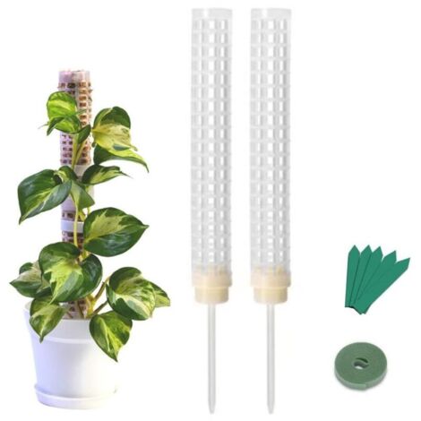 Bardusch - Tuteur en mousse de 25 cm en plastique et fibre de coco, pour plantes grimpantes d'intérieur.