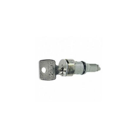 Barillet à clé pour clé N°421 pour coffret Atlantic et Marina - 036823 - Legrand