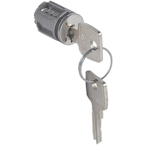 Barillet à clé pour poignée 034771 et 034772 pour armoire Altis pour clé n°421 LEGRAND 034785