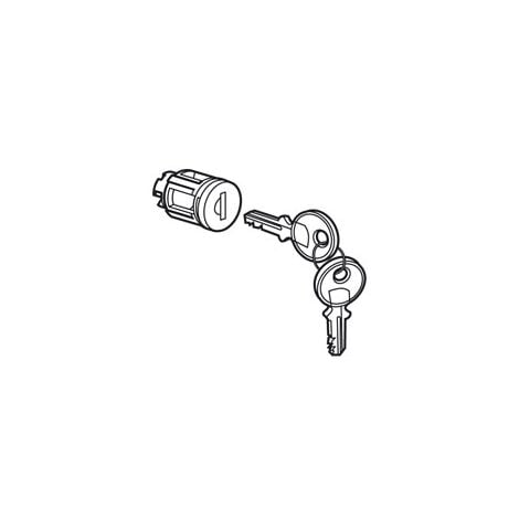 Barillet à clé type 405 pour porte métal ou vitrée XL³800 ,XL³400 et XL³160 avec 1 jeu de 2 clés LEGRAND 020291