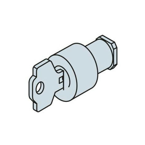 Barillet type Ronis R455 pour Serrure EV1008 1STQ000975A0000 ABB EV1037