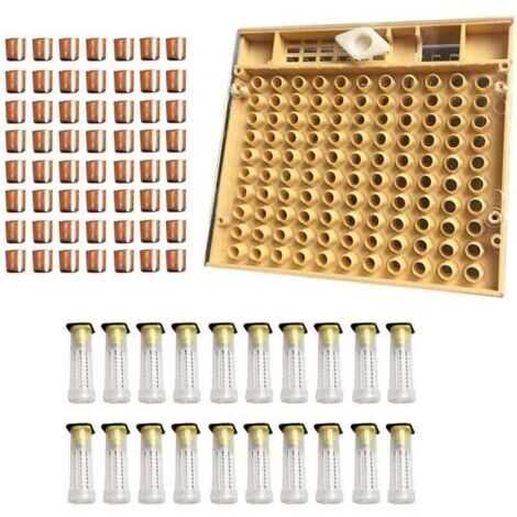 BARKBUSTERS  Kit Élevage Reine Apiculture 110 Pièces avec Tasses Cellules Abeilles en Plastique et Cage