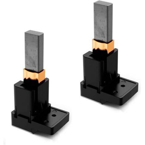 BARKBUSTERS Lot de 10 charbons moteur compatible Dyson YDK - DC05 / DC08 / DC14 / DC19 / DC20 / DC21 / DC27 / DC29 / DC32 / DC33 / DC36 / DC37