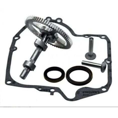 BARKBUSTERSArbre à cames Briggs & Stratton 793880 793583 792681 791942 795102 Kit de remplacement de came avec joint d'huile 795387 et joints de carter Ruikalucky 697110 LKBD