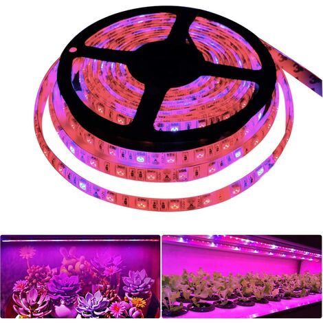 Barra de luz LED para cultivo de plantas DC 12V IP65 impermeable espectro completo SMD 5050 rojo y azul 5:1 luces de cadena para acuario de invernadero