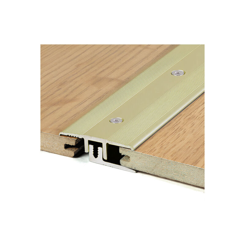 Décoweb - Barre de seuil Romus à visser 90 cm - Alu or - Même niveau