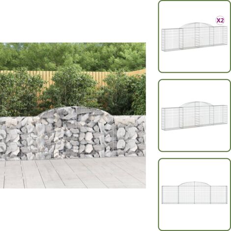 Barriera da giardino - vidaXL Cesti Gabbioni ad Arco 2 pz 300x30x80/100 cm Ferro Zincato - Gabbione ad arco