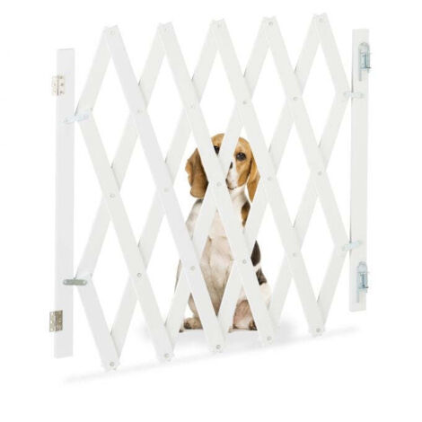 Barriera per cani retrattile di colore bianco 8