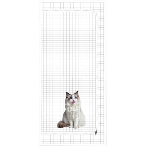 Barrière de porte pour chat - Anti-rayures - Filet robuste