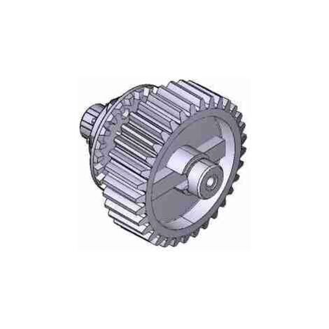 Barrière de remplacement du premier groupe de réduction Gard Ls-Lt CAME 88003-0148