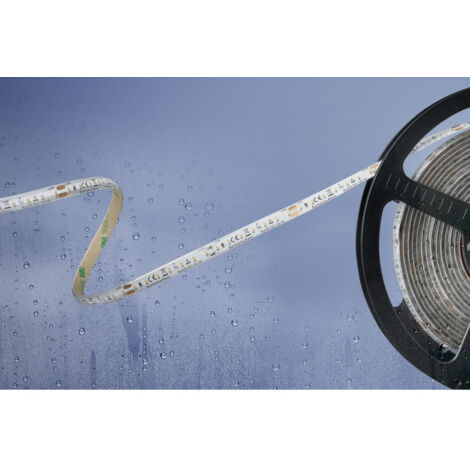 Barthelme 51540234 51540234 LED-Streifen  mit offenem Kabelende 24 V 5 m Kaltweiß  1 St.