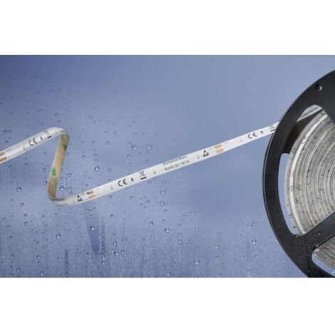 Barthelme 51540433 51540433 LED-Streifen  mit offenem Kabelende 12 V 5 m Neutralweiß  1 St.