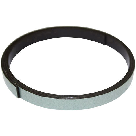 Barthelme 62389300  Magnetisches Klebeband        (L x B x H) 1 m x 10 mm x 0.6 mm  1 m