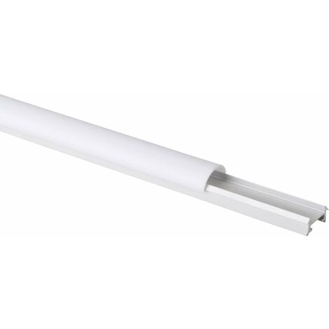 Barthelme 62396901 plastique (L x l x H) 1000 x 20.3 x 9.8 mm 1 pc(s)
