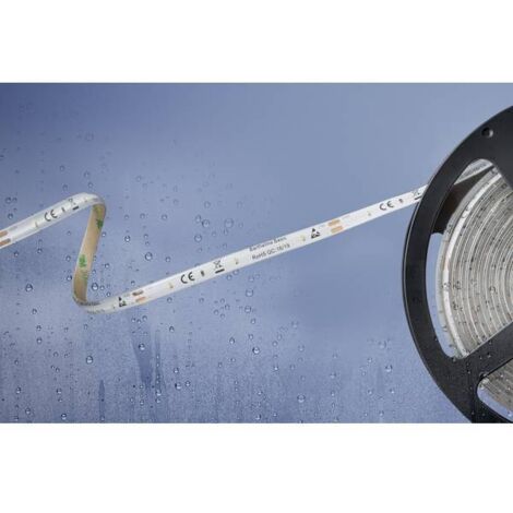 Barthelme Basic 51540428 Nastro LED bianco 5m